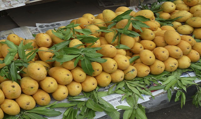 Benishan mangoes on sale
