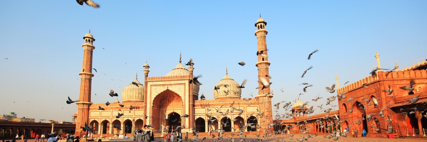 Here is why you should take Old Delhi Walking tour