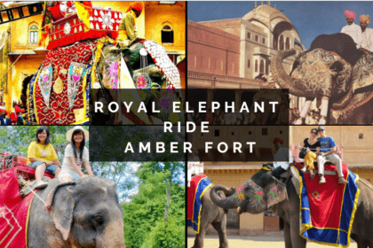 Riding Elephants In Amber Fort