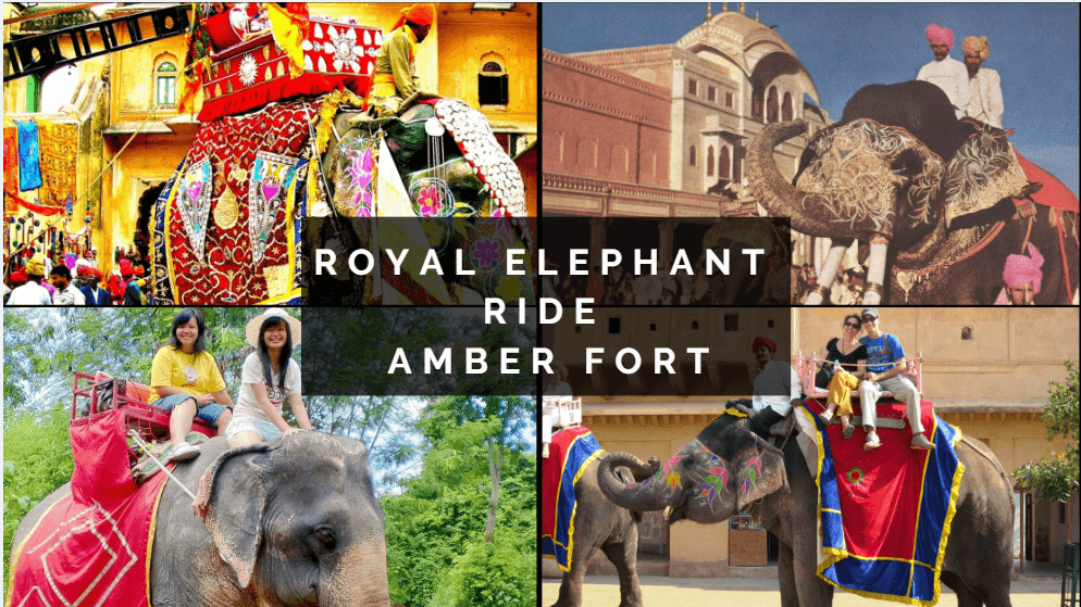 Riding Elephants In Amber Fort