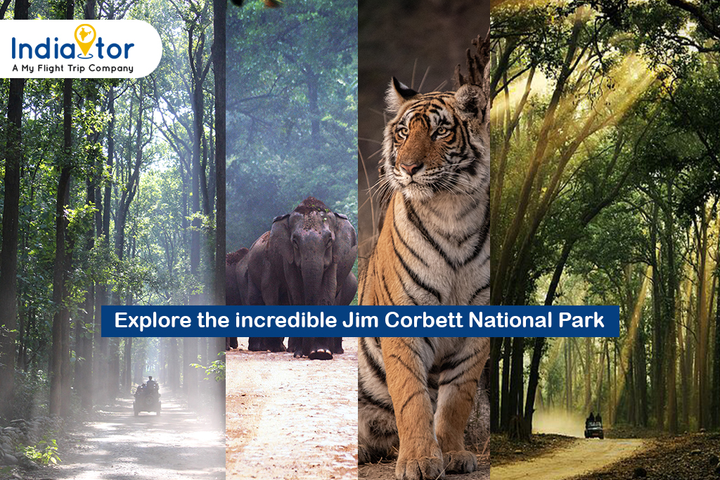 Jim Corbett National Park booking
