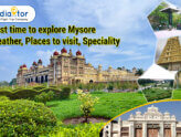 Bangalore Mysore Ooty tour packages