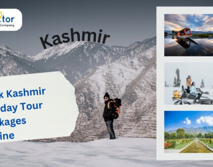 Discover the beauty of Kashmir in India with Indiator's Kashmir Holiday Tour Packages