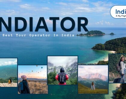 Indiator - The Best Tour Operator In India