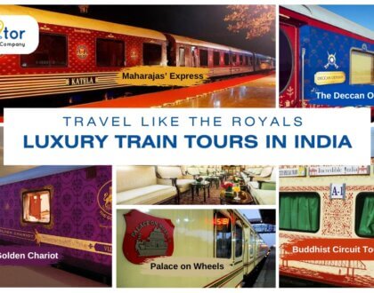 Luxury Train Tours in India
